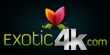 Exotic4K